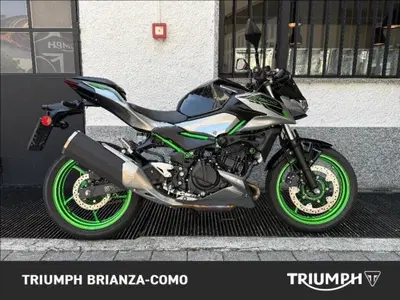 Kawasaki Z 500 (2024 - 26) usata