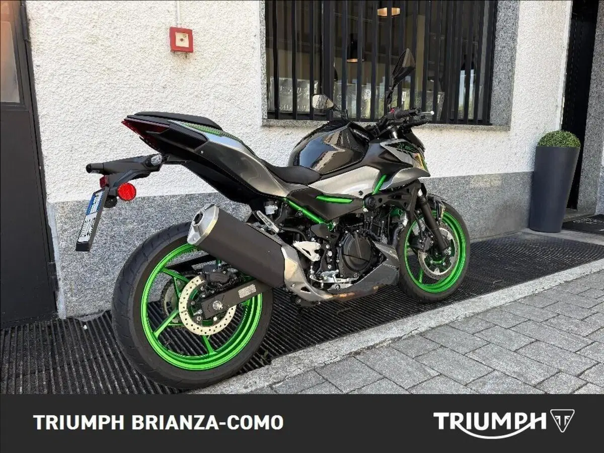 Kawasaki Z 500 (2024 - 26) (3)