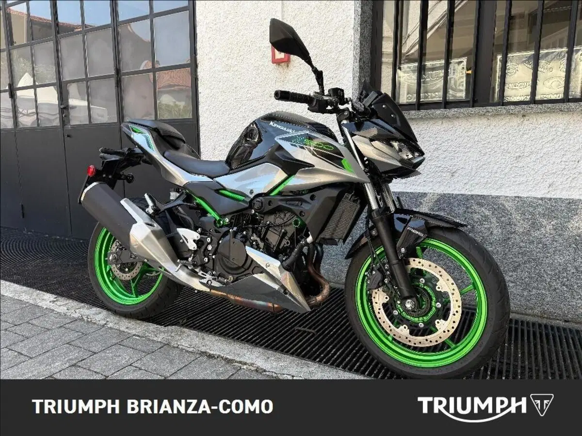 Kawasaki Z 500 (2024 - 26) (2)