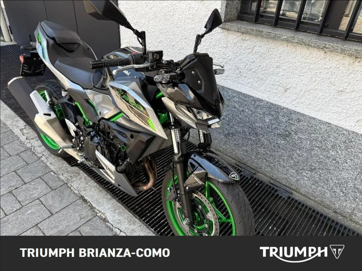Kawasaki Z 500 (2024 - 26) (4)