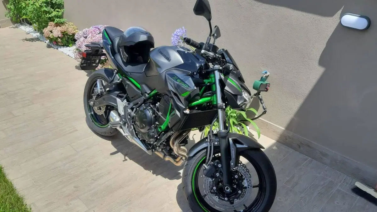 Kawasaki Z 650 (2021 - 24)
