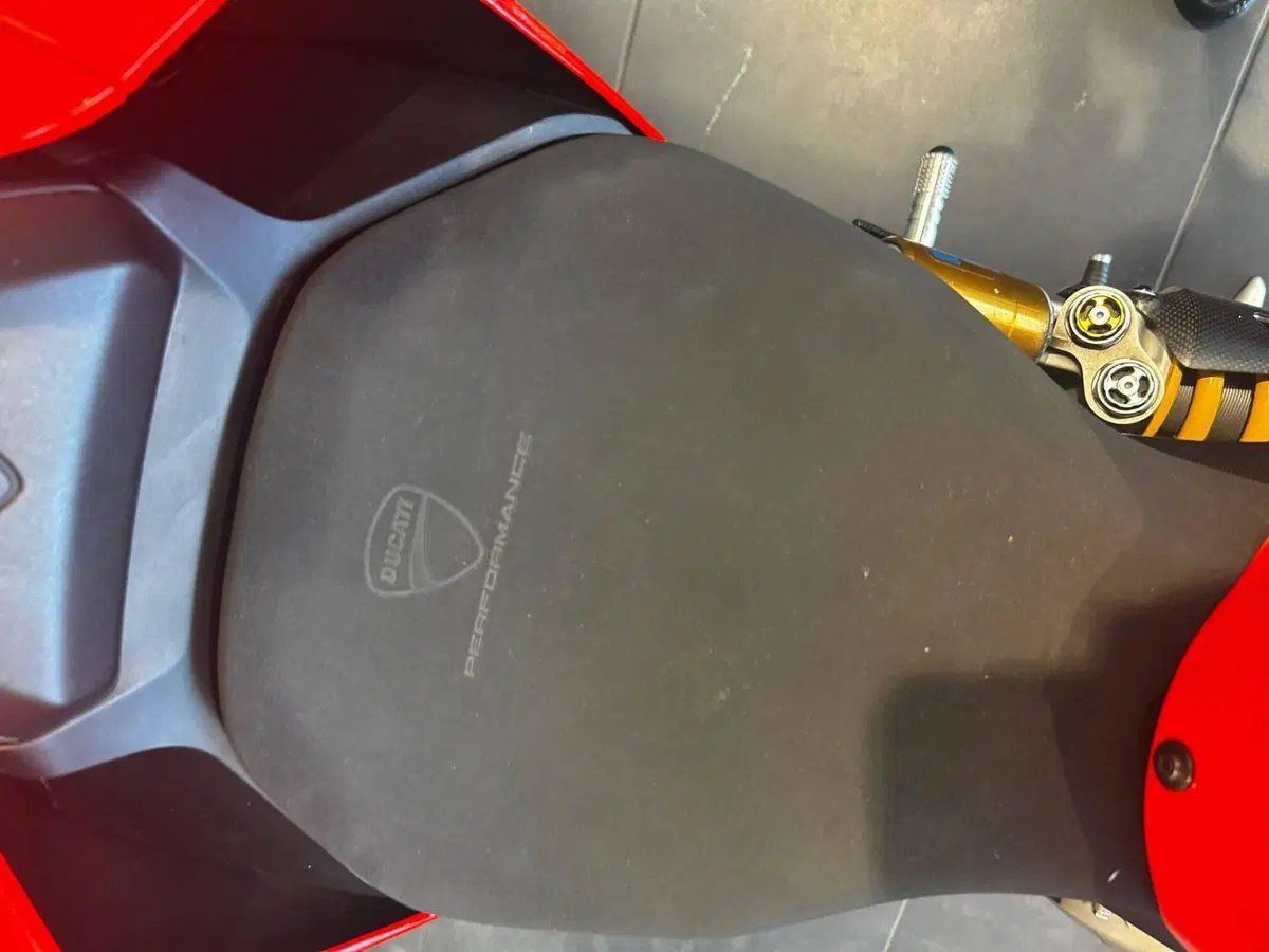 Ducati 959 Panigale (2016 - 19) (13)