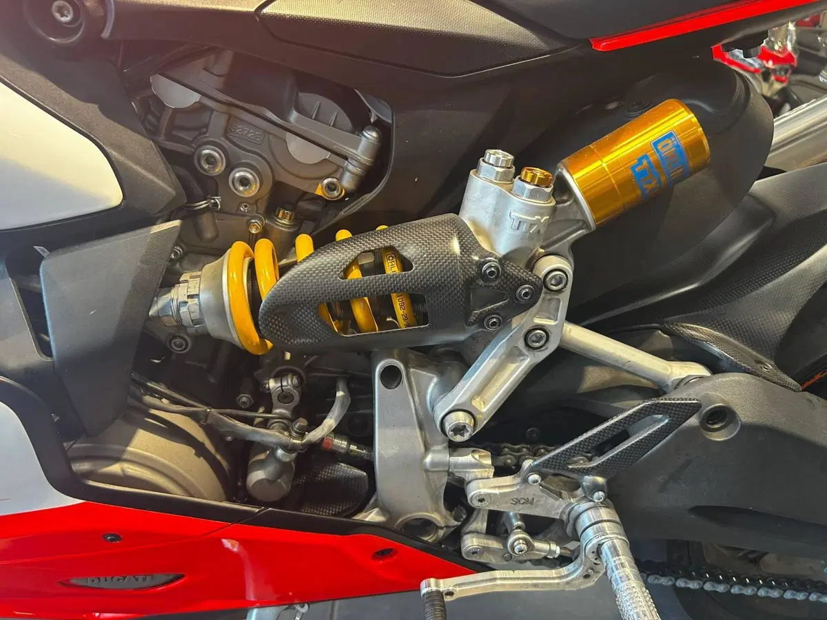 Ducati 959 Panigale (2016 - 19) (15)