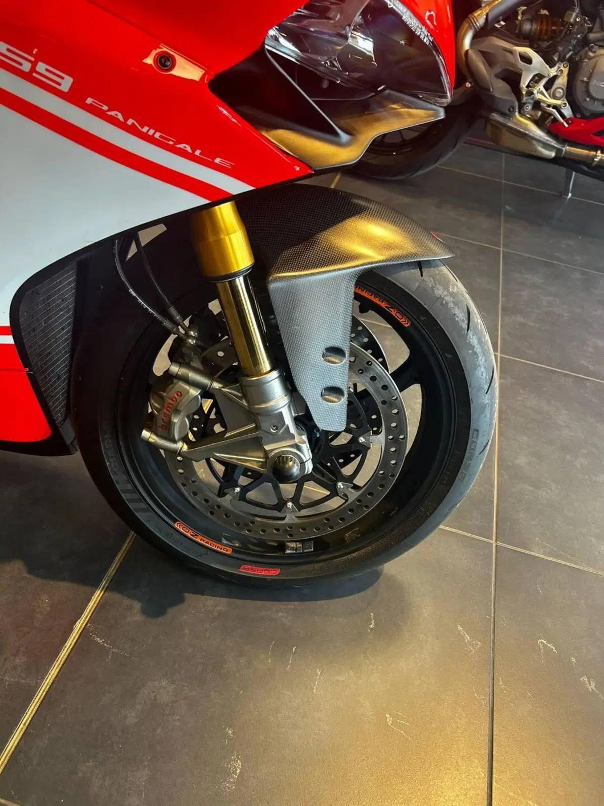 Ducati 959 Panigale (2016 - 19) (19)