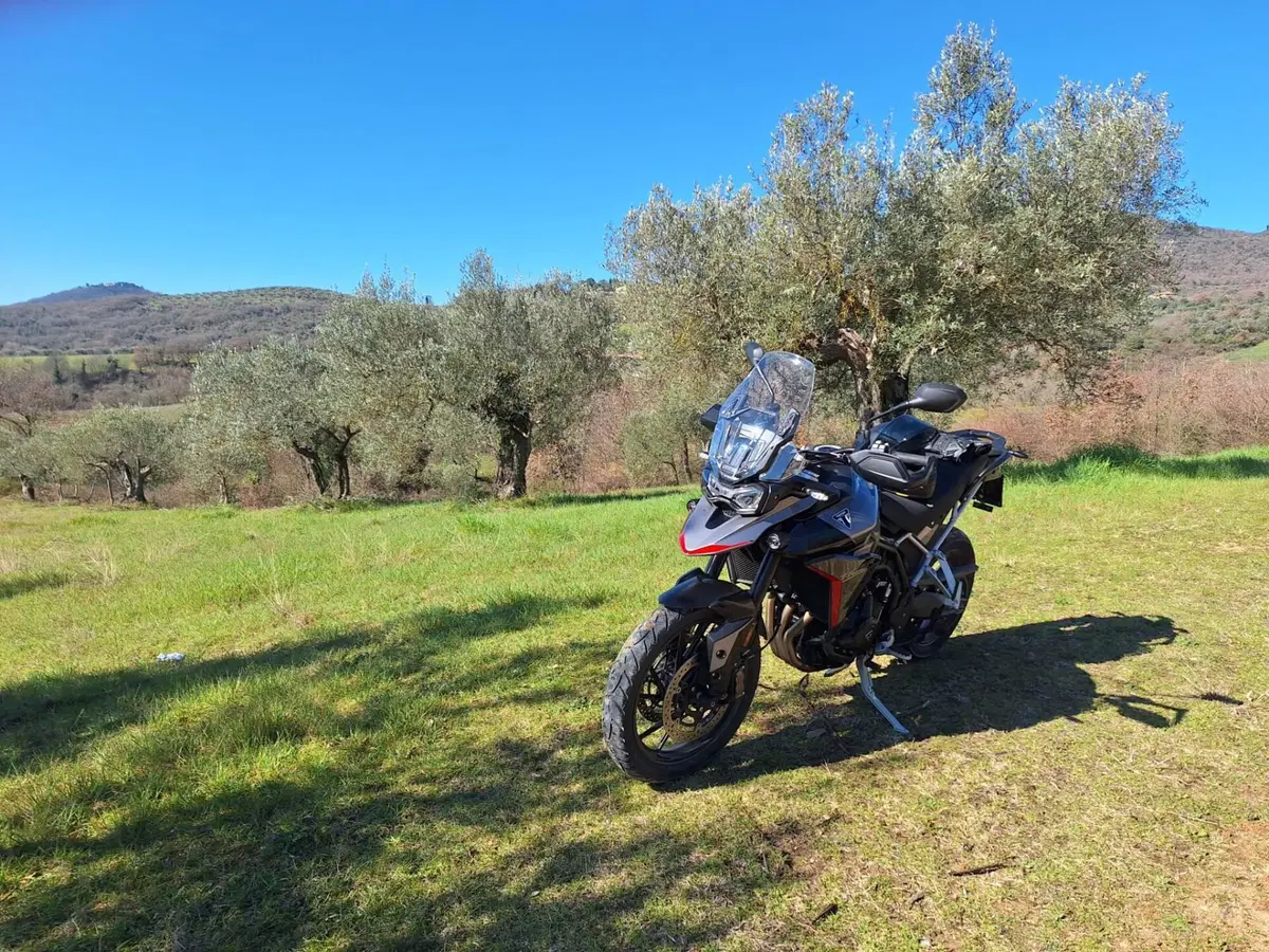 Triumph Tiger 900 GT Pro (2024 - 26)