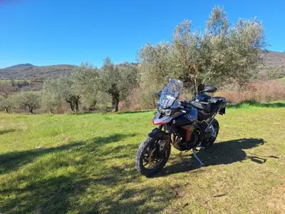 Triumph Tiger 900 GT Pro (2024 - 26) usata