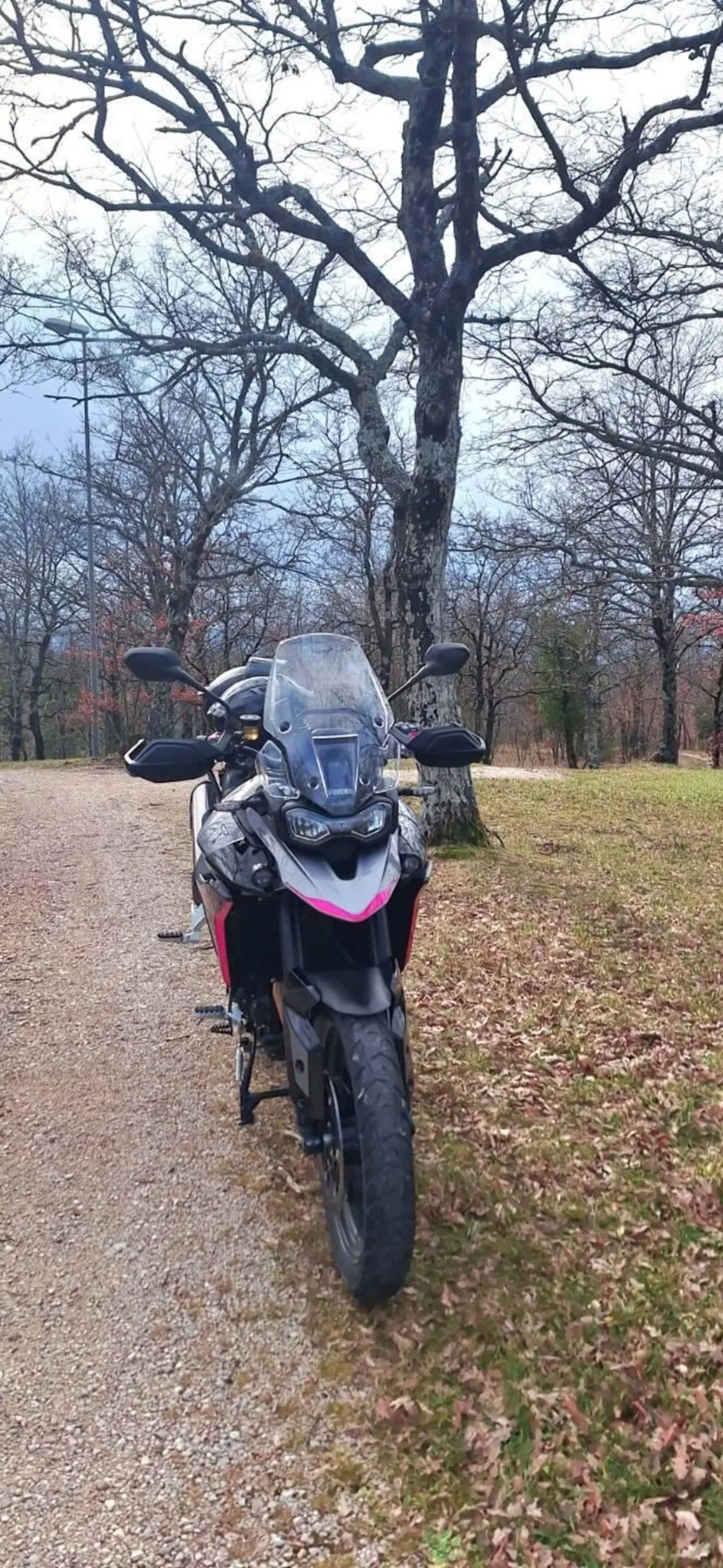 Triumph Tiger 900 GT Pro (2024 - 26) (2)