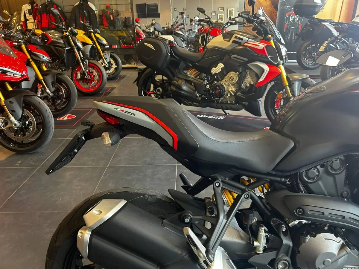 Ducati Monster 821 Stealth (2019 - 20) (4)