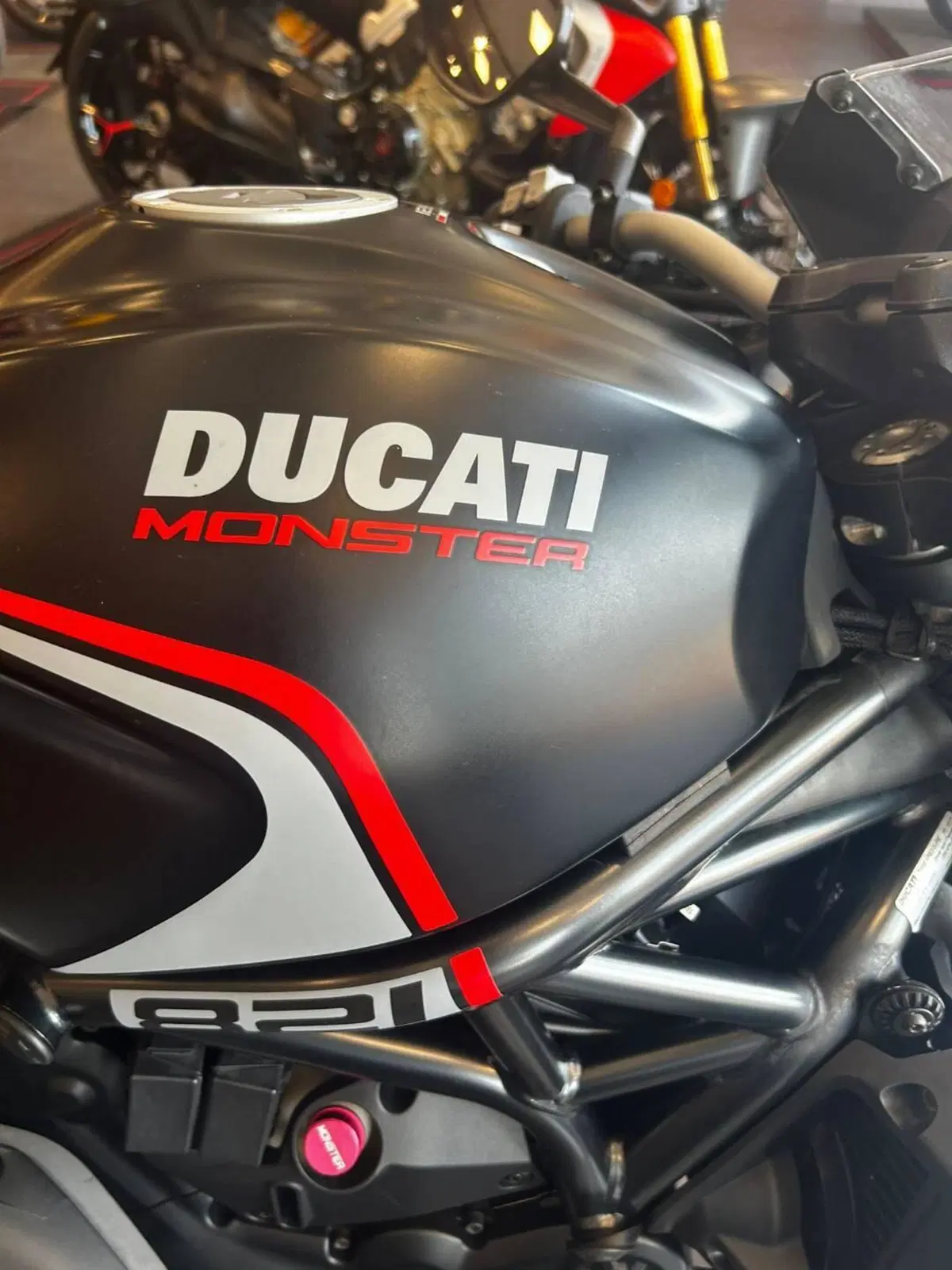 Ducati Monster 821 Stealth (2019 - 20) (2)