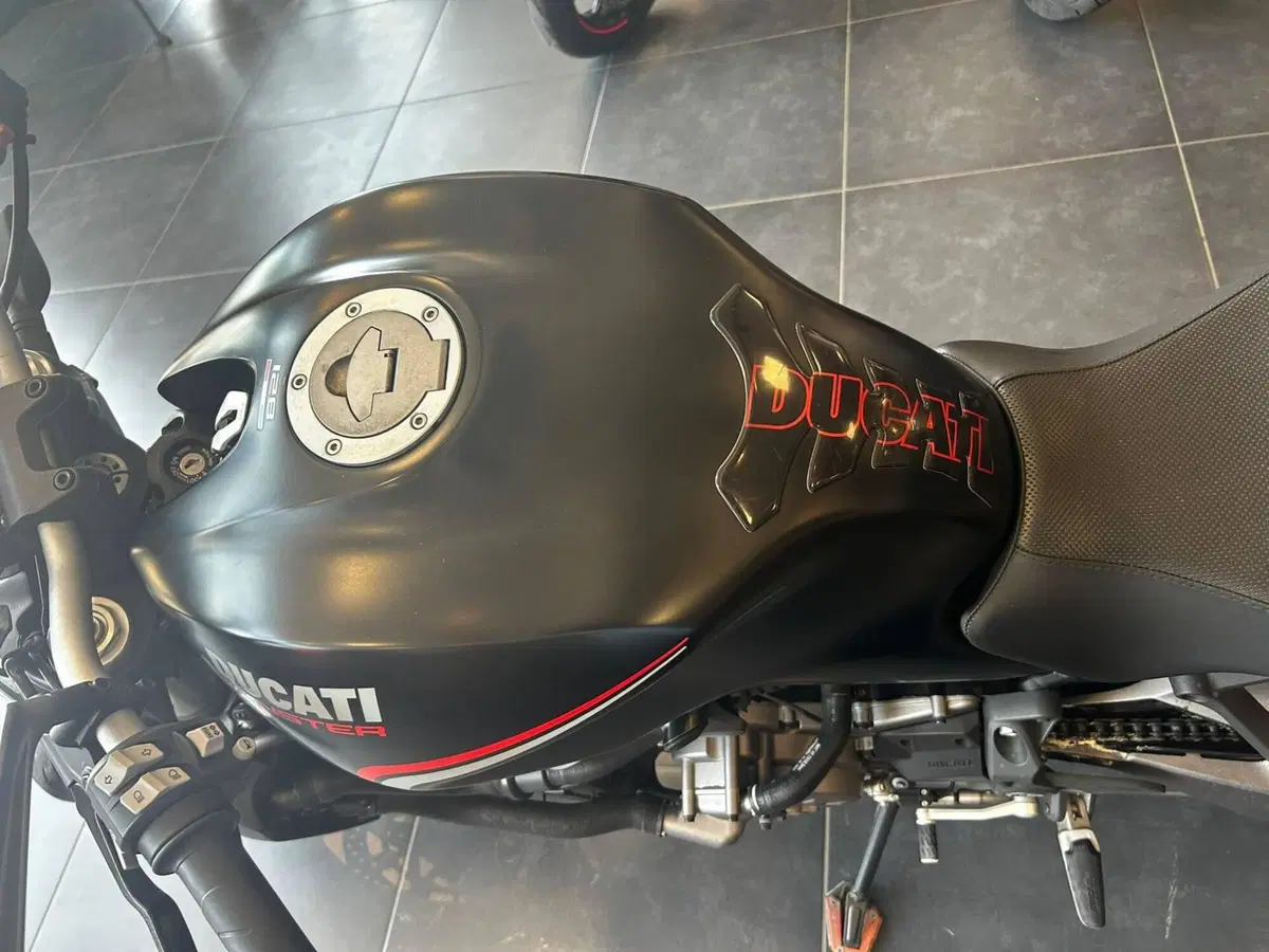 Ducati Monster 821 Stealth (2019 - 20) (6)