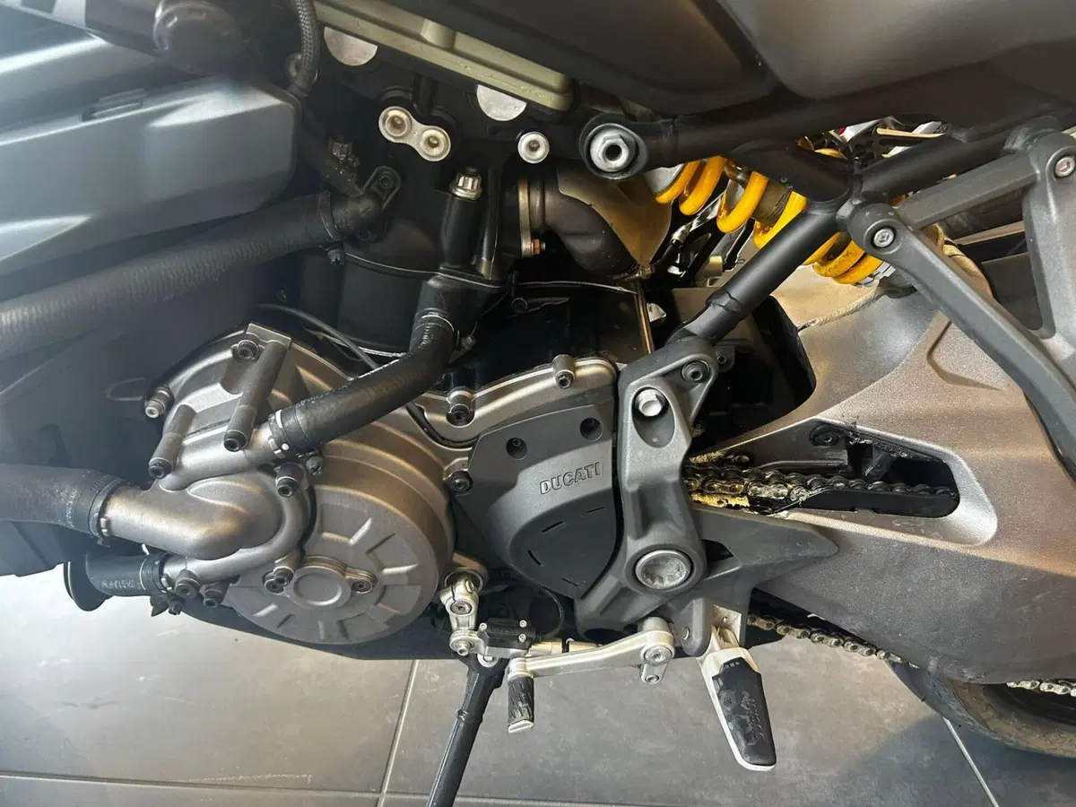 Ducati Monster 821 Stealth (2019 - 20) (7)