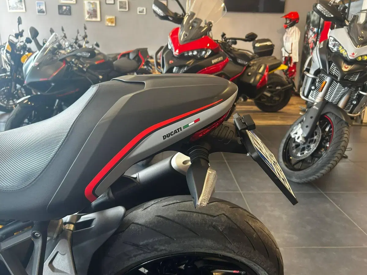 Ducati Monster 821 Stealth (2019 - 20) (10)