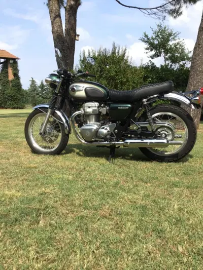 Kawasaki W 800 (2010 - 17) usata