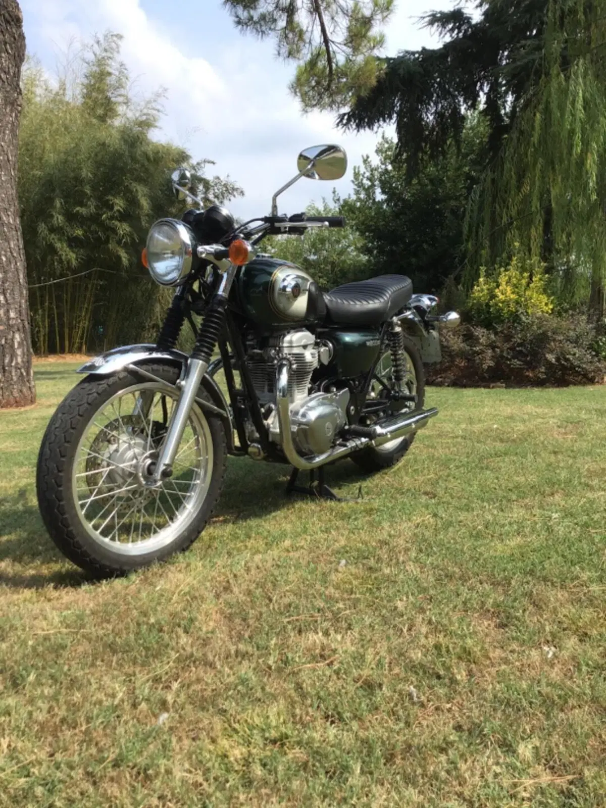 Kawasaki W 800 (2010 - 17) (2)