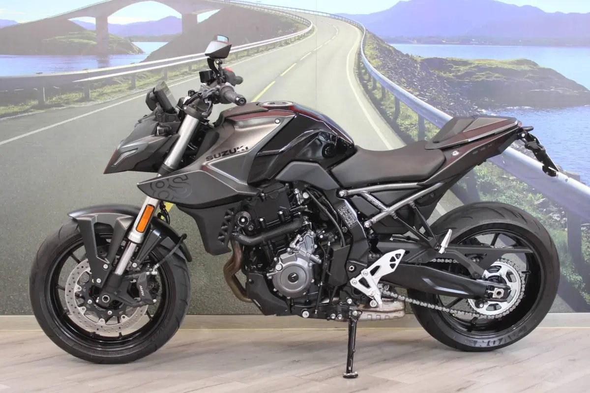 Suzuki GSX-8S (2023 - 24) (7)