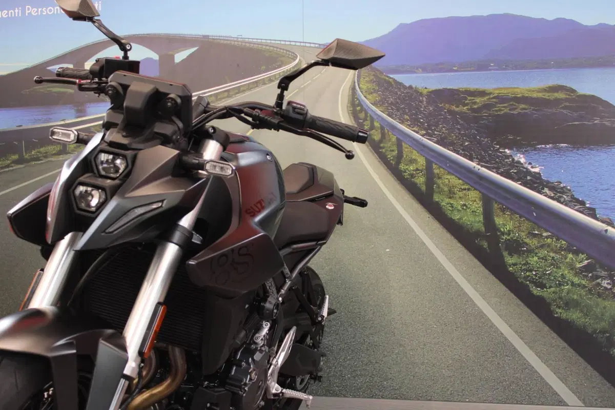 Suzuki GSX-8S (2023 - 24) (11)
