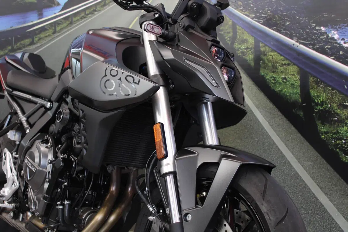 Suzuki GSX-8S (2023 - 24) (12)