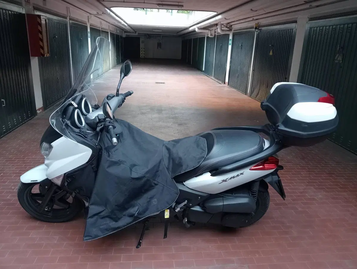Yamaha X-Max 250 ABS (2011 - 13) (2)