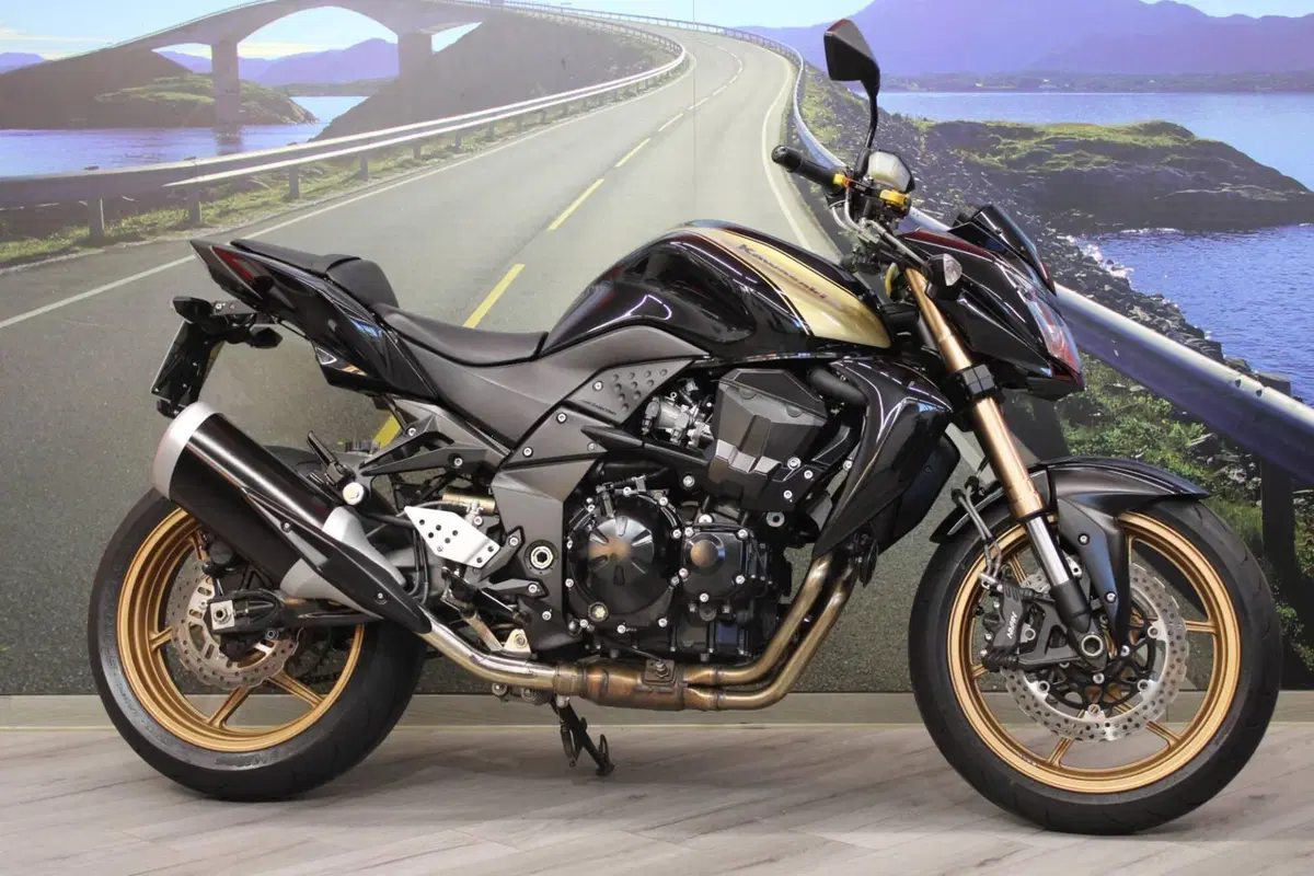 Kawasaki Z 750 (2007 - 14) (5)