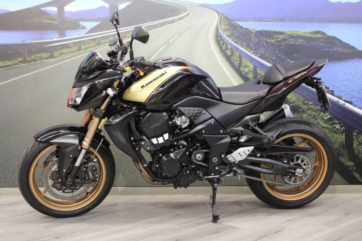 Kawasaki Z 750 (2007 - 14) (7)