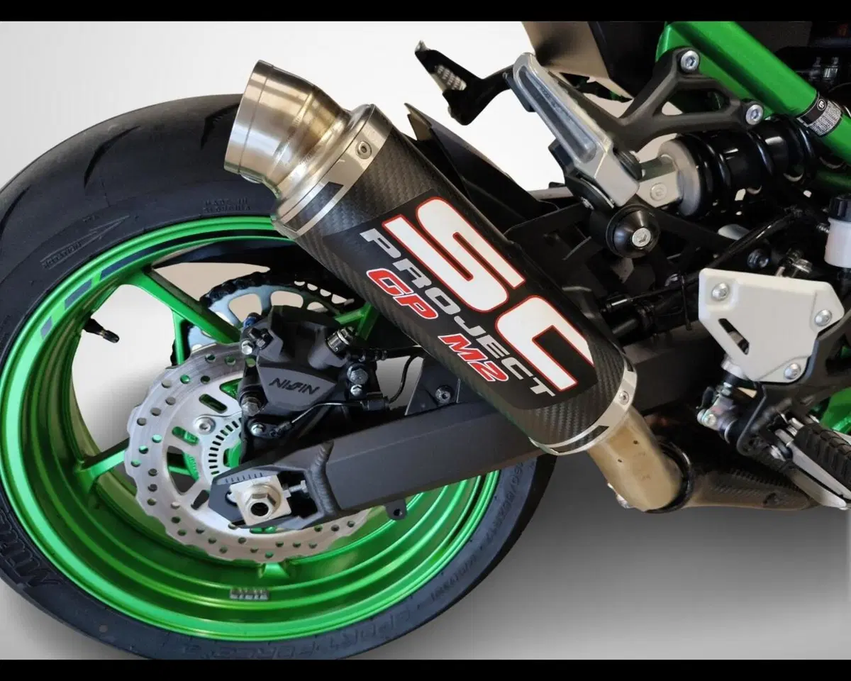 Kawasaki Z 900 (2025 - 26) (13)