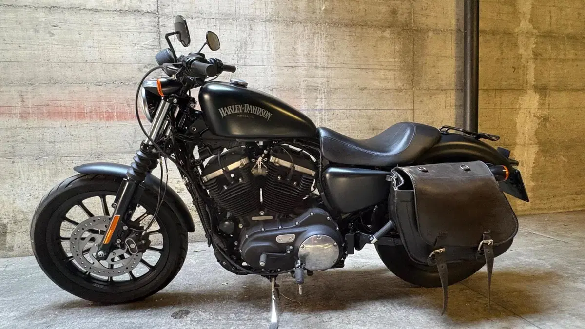 Harley-Davidson 883 Iron (2014 - 16) - XL 883N (3)