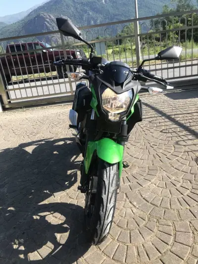 Kawasaki Z 125 (2021 - 24) usata