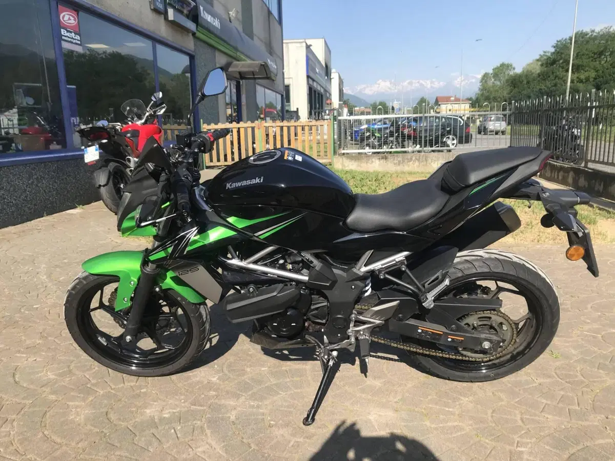 Kawasaki Z 125 (2021 - 24) (3)