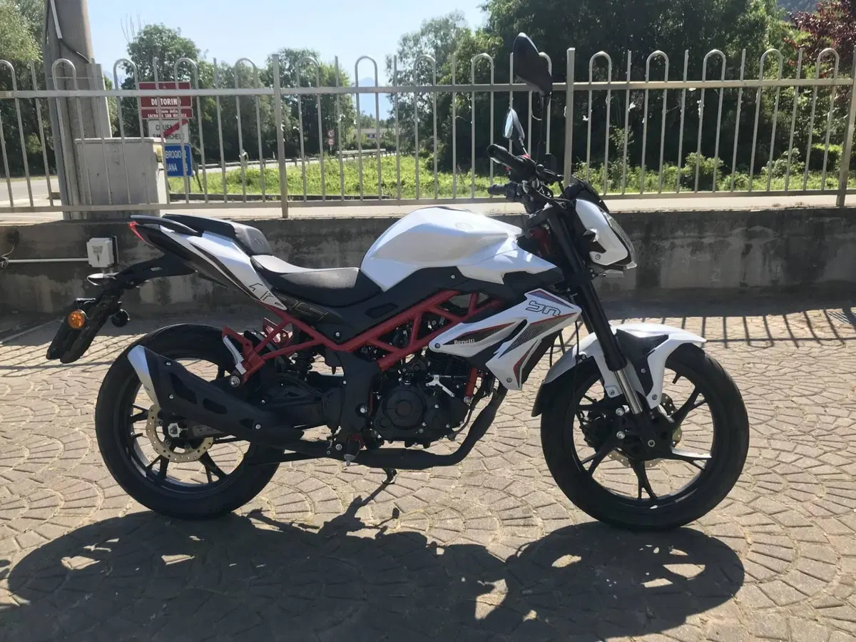Benelli BN 125 (2021 - 25) (2)