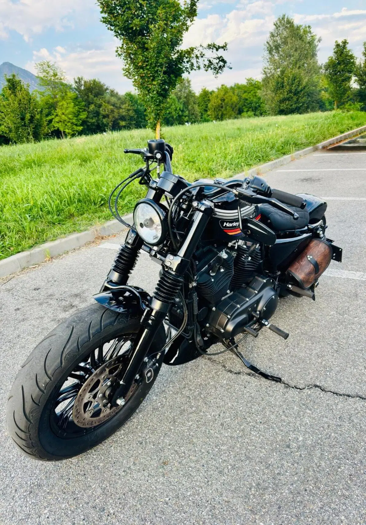 Harley-Davidson 1200 Forty-Eight (2016 - 20) (3)