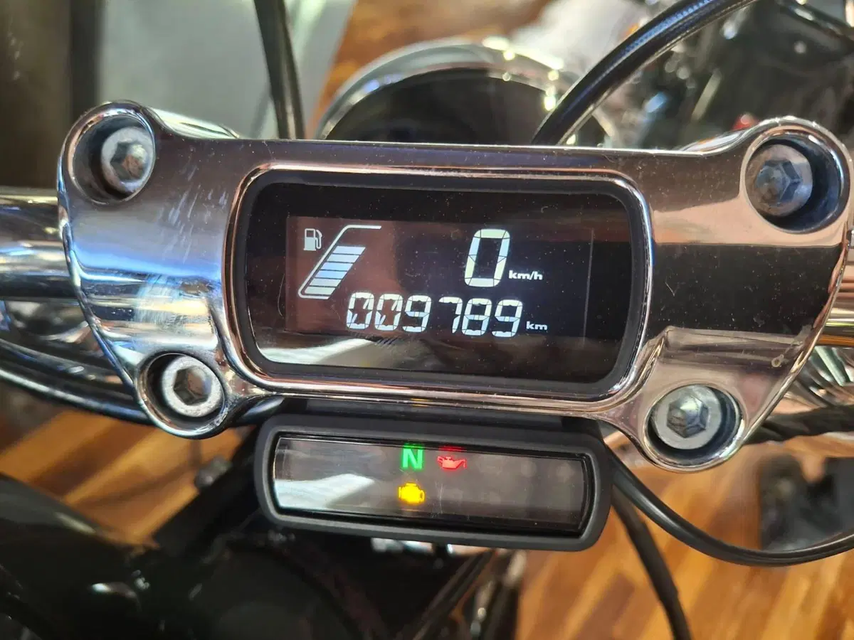 Harley-Davidson Softail Standard (2021 - 25) (3)