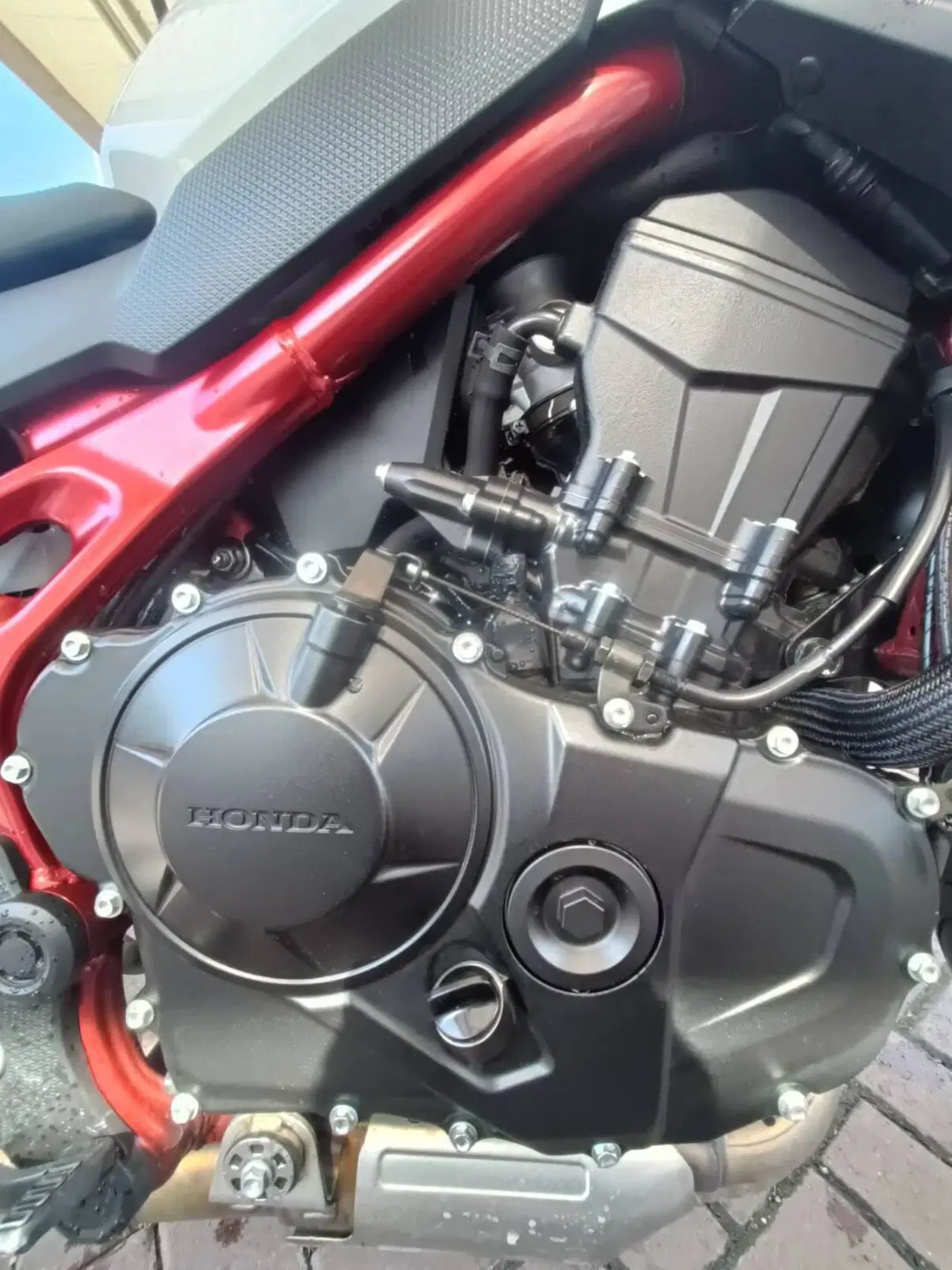 Honda CB 750 Hornet (2023 - 24) (8)