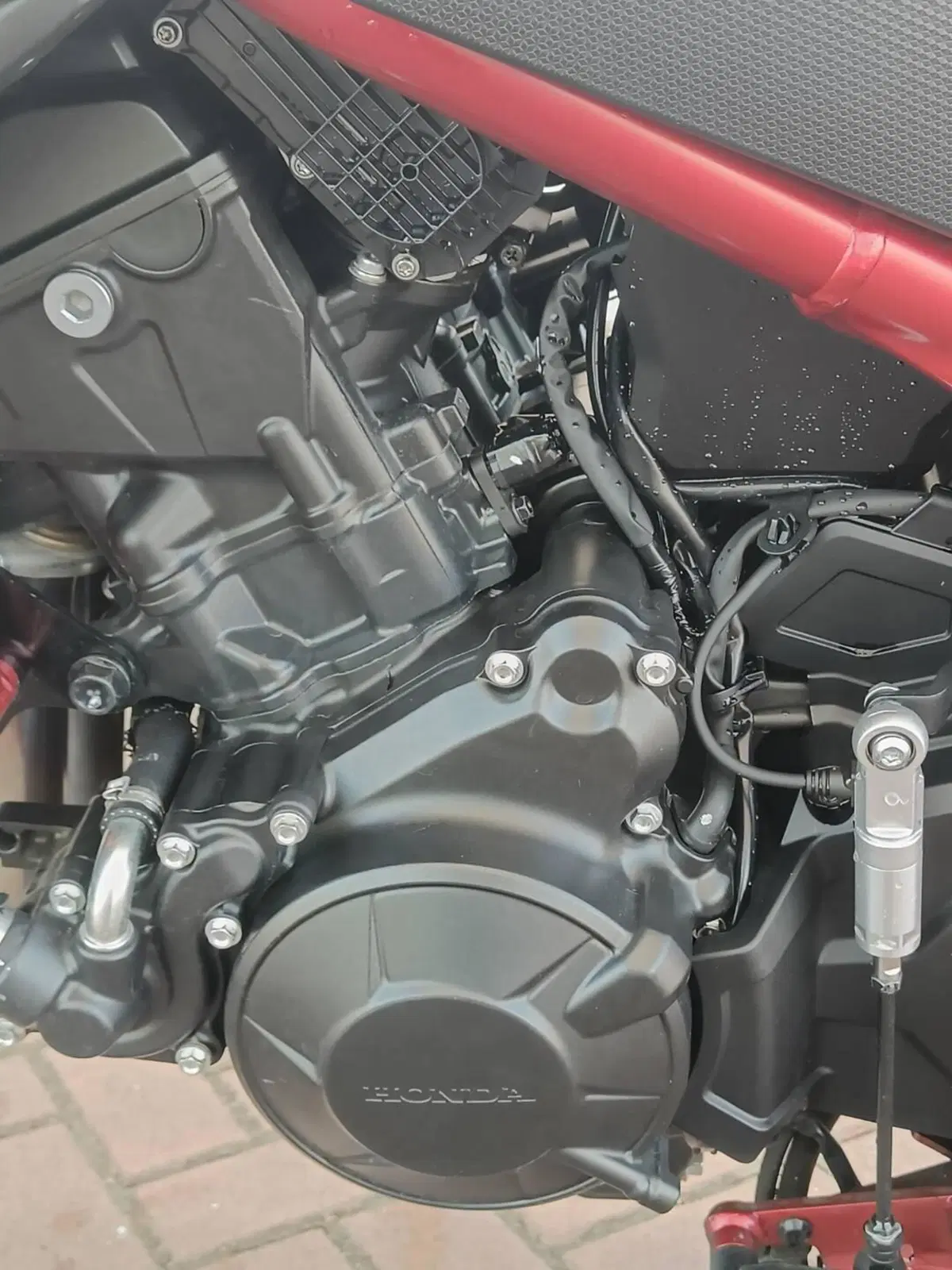 Honda CB 750 Hornet (2023 - 24) (9)