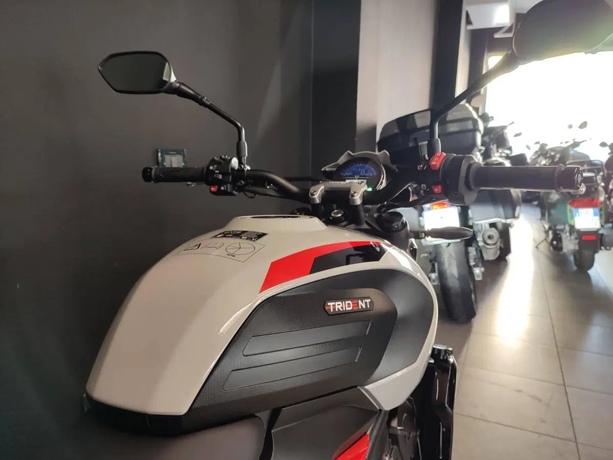 Triumph Trident 800 (2026) (6)