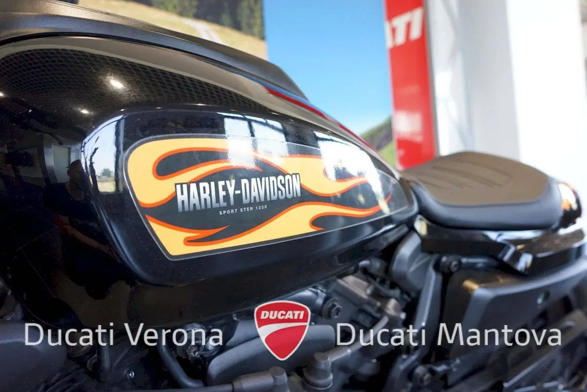 Harley-Davidson Sportster S (2022 - 24) (18)