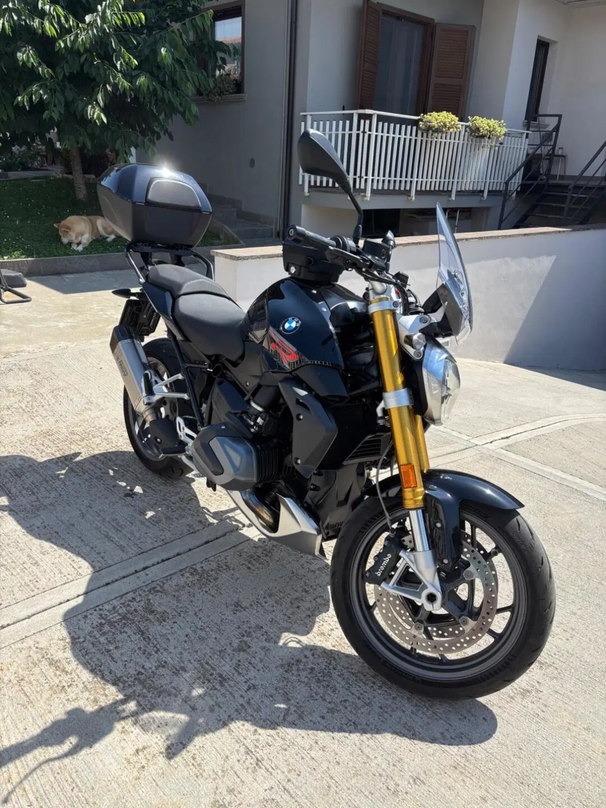Bmw R 1250 R (2021 - 25) (3)