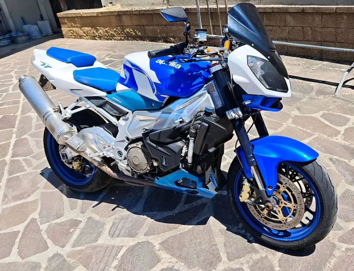 Aprilia Tuono 1000 R (2006 - 10) (2)