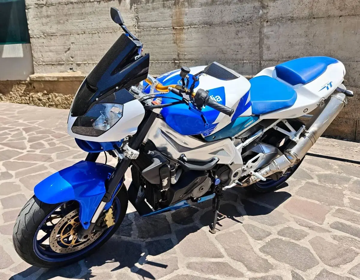 Aprilia Tuono 1000 R (2006 - 10) (4)
