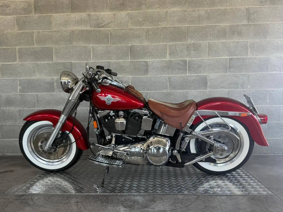 Harley-Davidson 1340 Heritage Special (1993 - 96) (3)