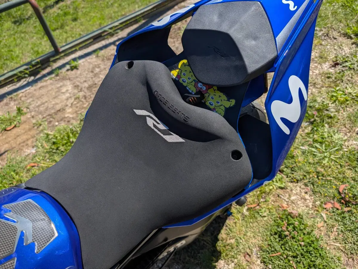 Yamaha YZF R1 (2017 - 19) (8)
