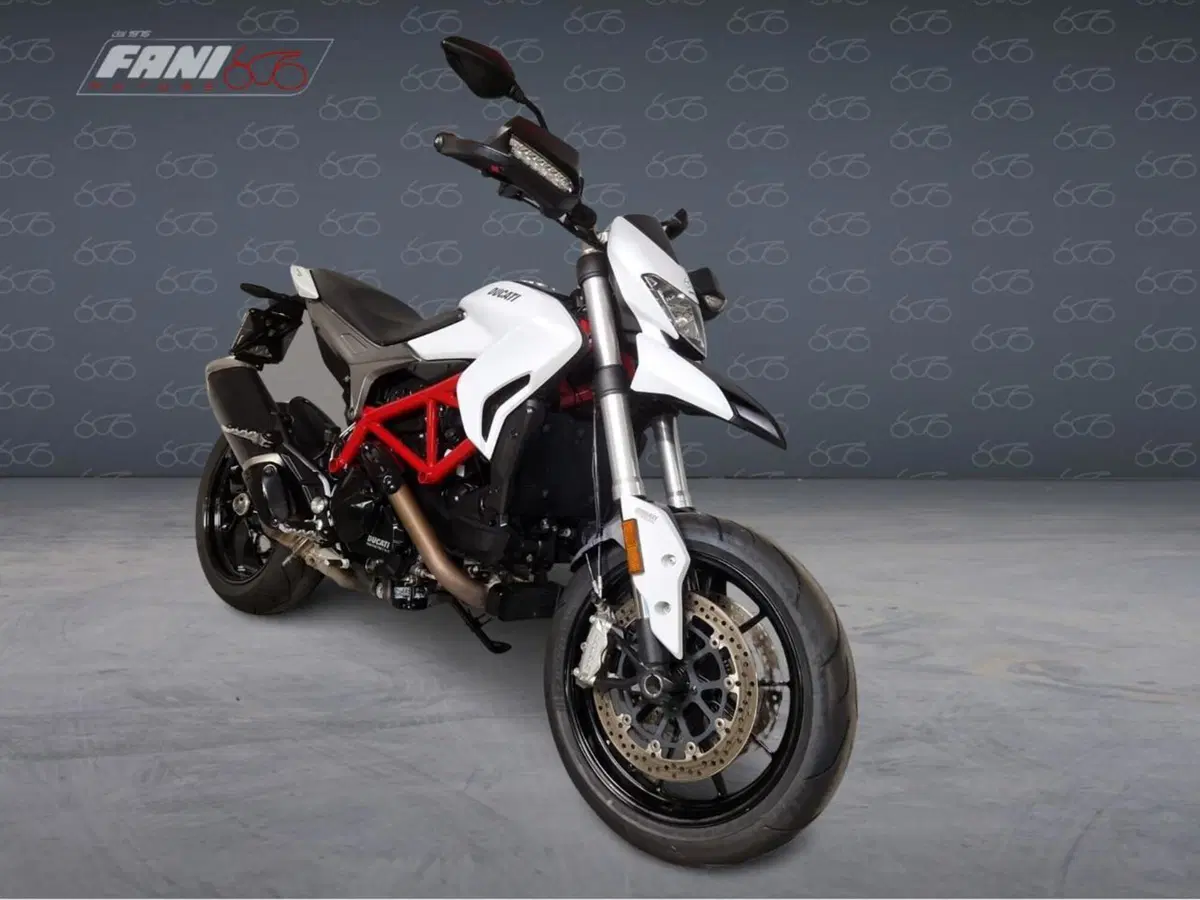 Ducati Hypermotard 939 (2016 - 18) (2)