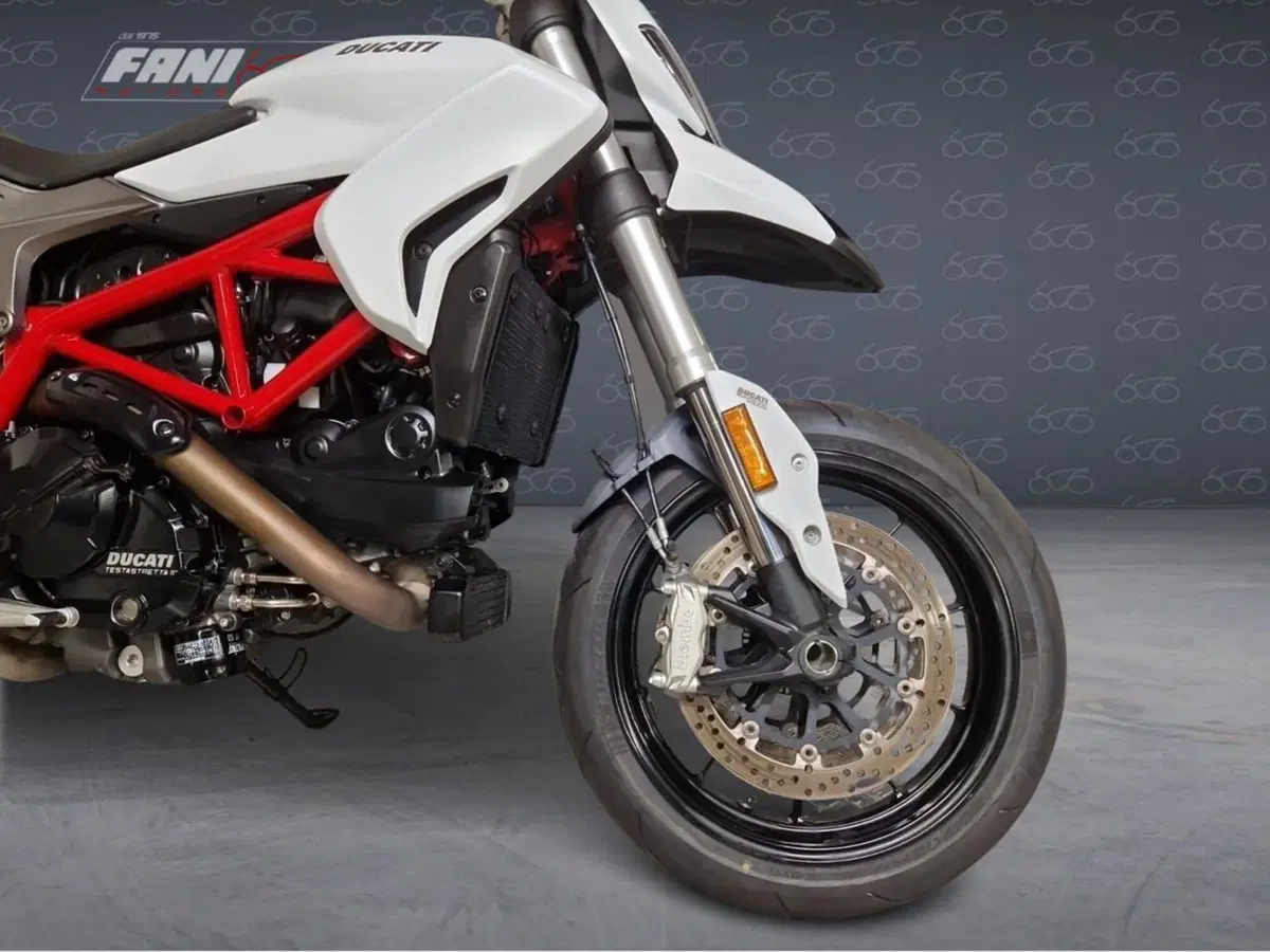 Ducati Hypermotard 939 (2016 - 18) (5)
