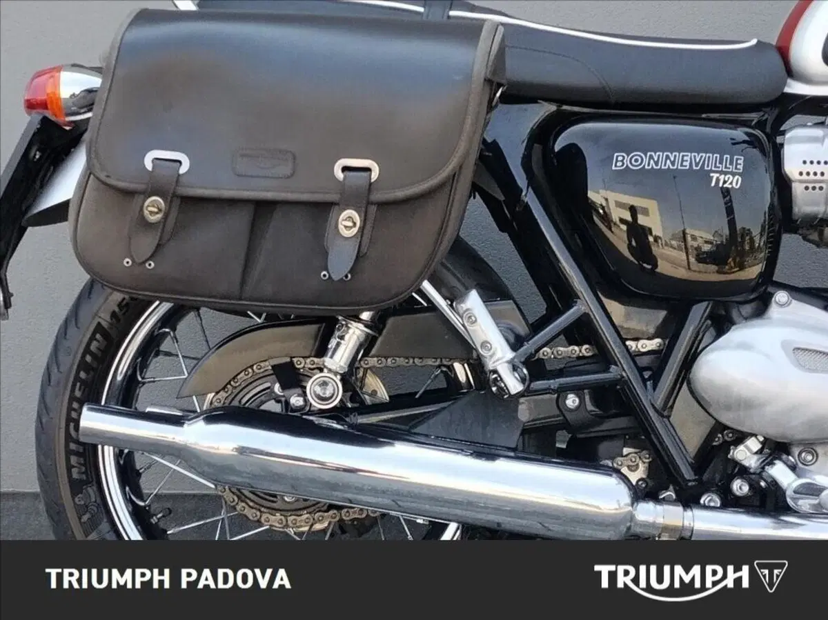 Triumph Bonneville T120 (2016 - 20) (2)