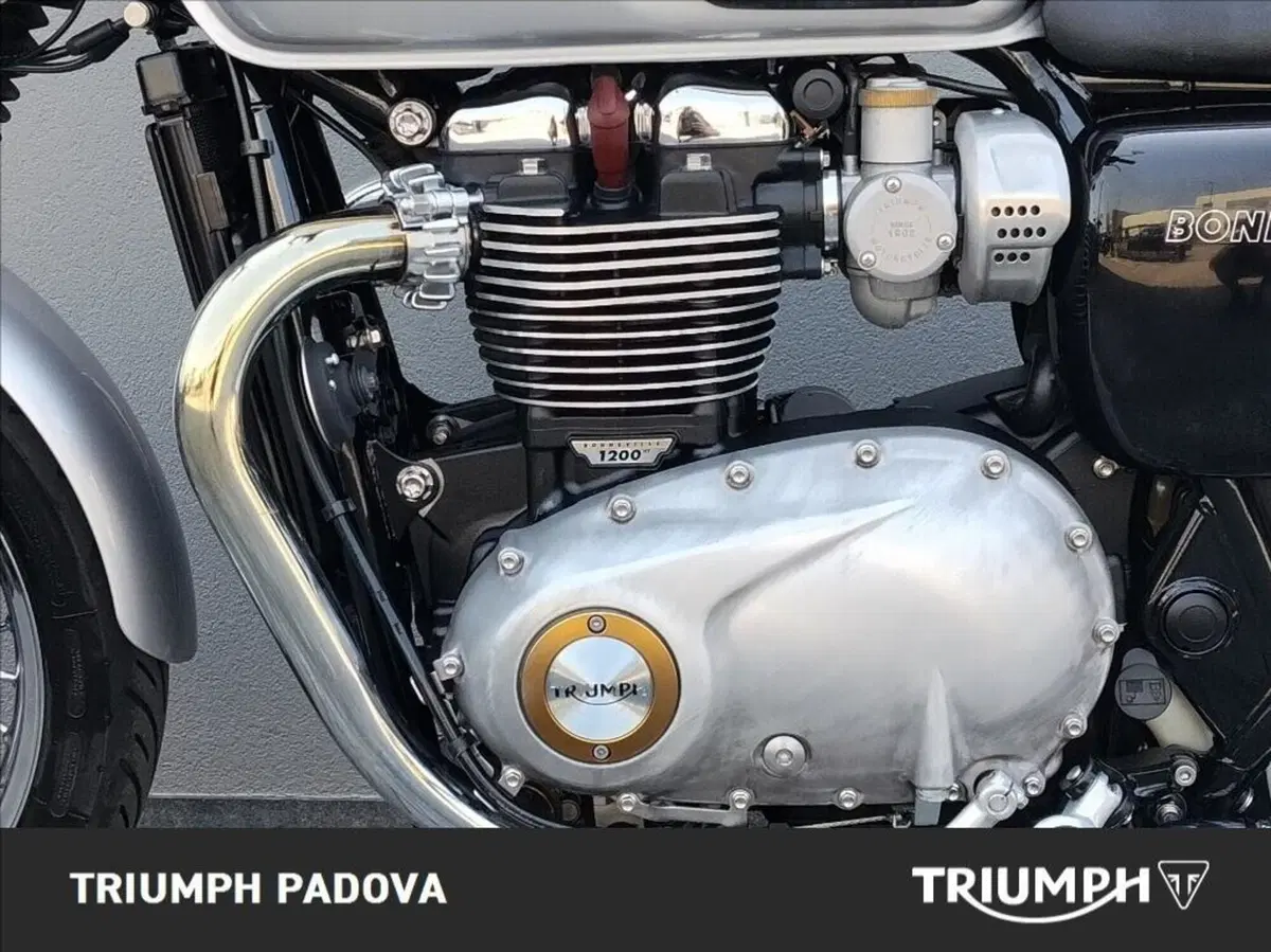 Triumph Bonneville T120 (2016 - 20) (8)