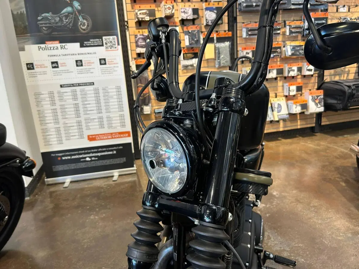 Harley-Davidson 883 Iron (2009 - 11) - XL 883N (2)