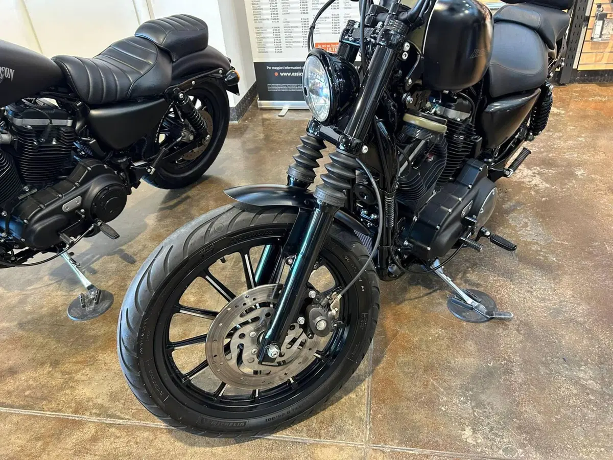 Harley-Davidson 883 Iron (2009 - 11) - XL 883N (4)