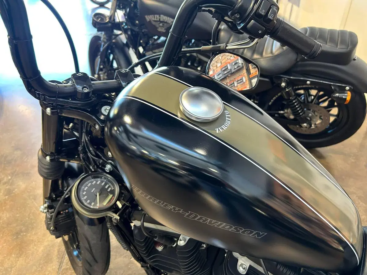 Harley-Davidson 883 Iron (2009 - 11) - XL 883N (5)