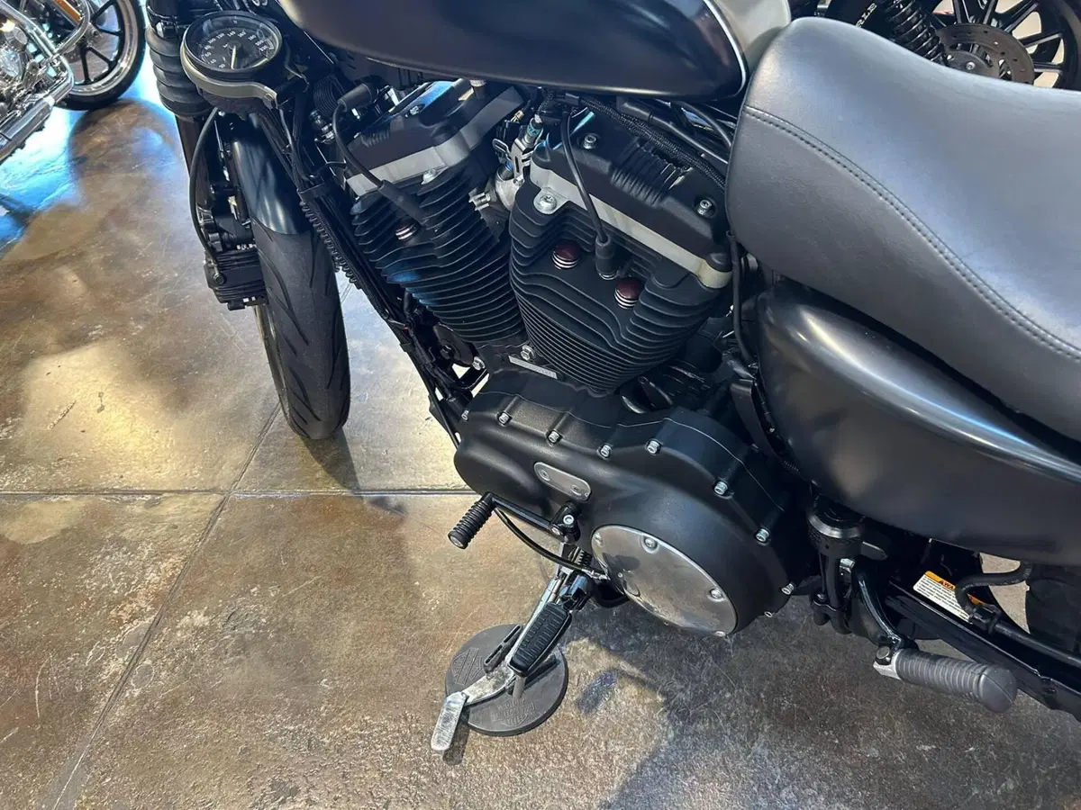 Harley-Davidson 883 Iron (2009 - 11) - XL 883N (6)