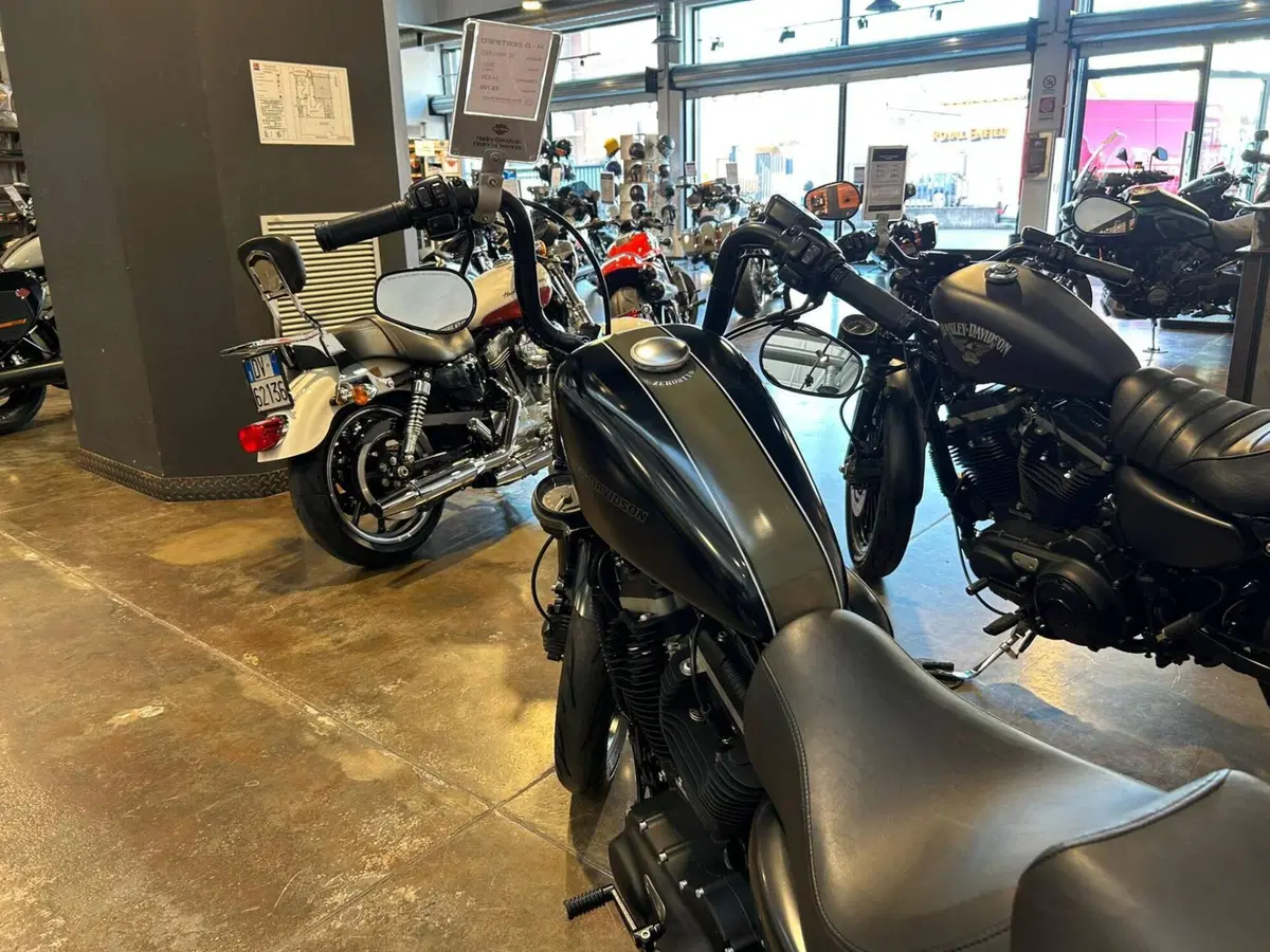 Harley-Davidson 883 Iron (2009 - 11) - XL 883N (7)