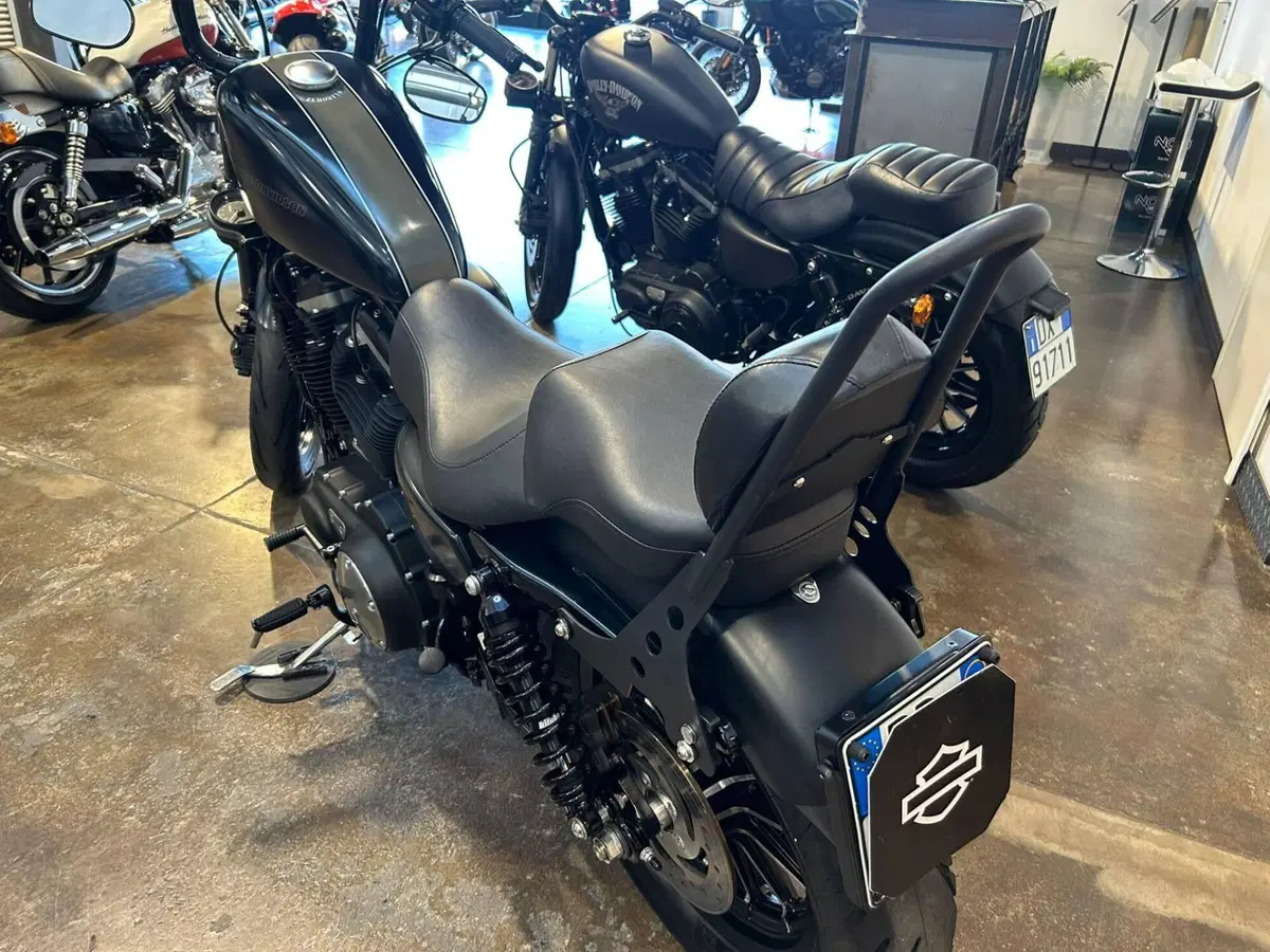 Harley-Davidson 883 Iron (2009 - 11) - XL 883N (8)